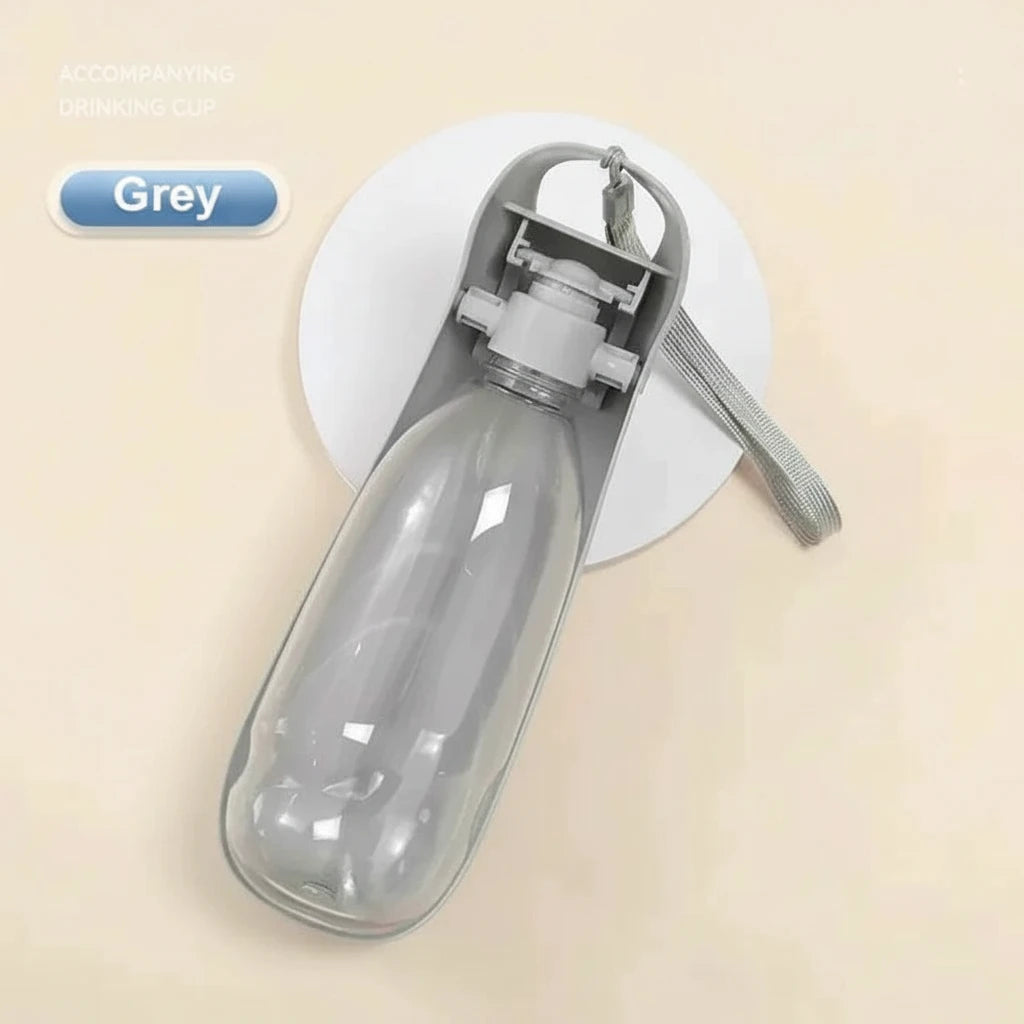 Portable Dog Water Bottle for Walks