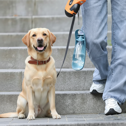 Portable Dog Water Bottle for Walks