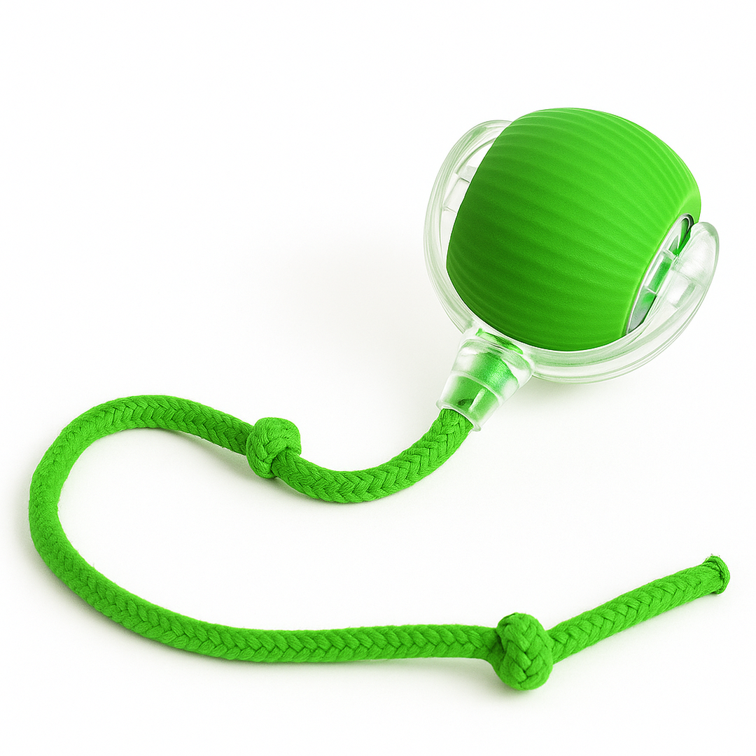 Interactive Rope Play Ball