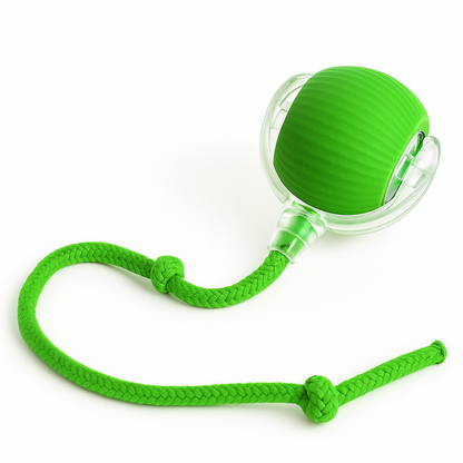 Interactive Rope Play Ball