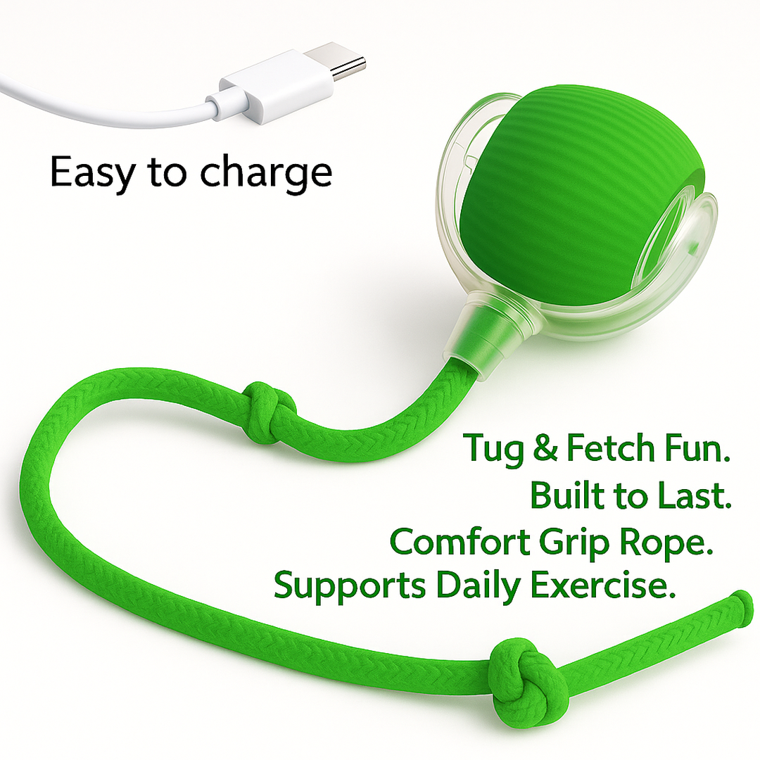 Interactive Rope Play Ball